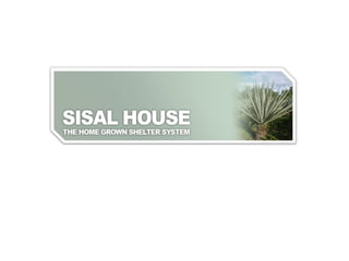 Sisal picture from Incipi
 