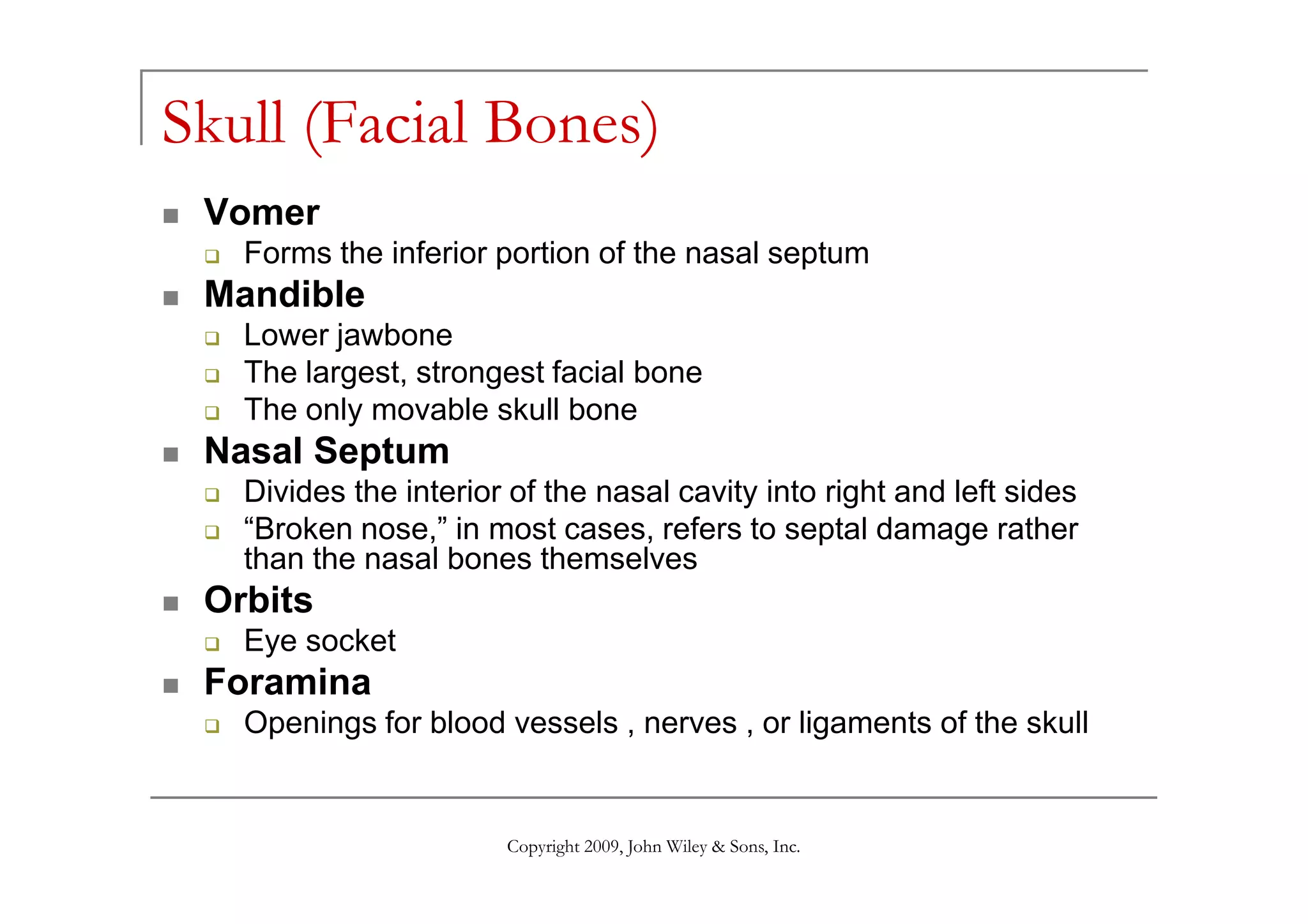 Skull (Facial Bones)
Vomer
Forms the inferior portion of the nasal septum
Mandible
Lower jawbone
The largest, strongest facial bone
The only movable skull bone
Nasal Septum
Copyright 2009, John Wiley & Sons, Inc.
Nasal Septum
Divides the interior of the nasal cavity into right and left sides
“Broken nose,” in most cases, refers to septal damage rather
than the nasal bones themselves
Orbits
Eye socket
Foramina
Openings for blood vessels , nerves , or ligaments of the skull
 