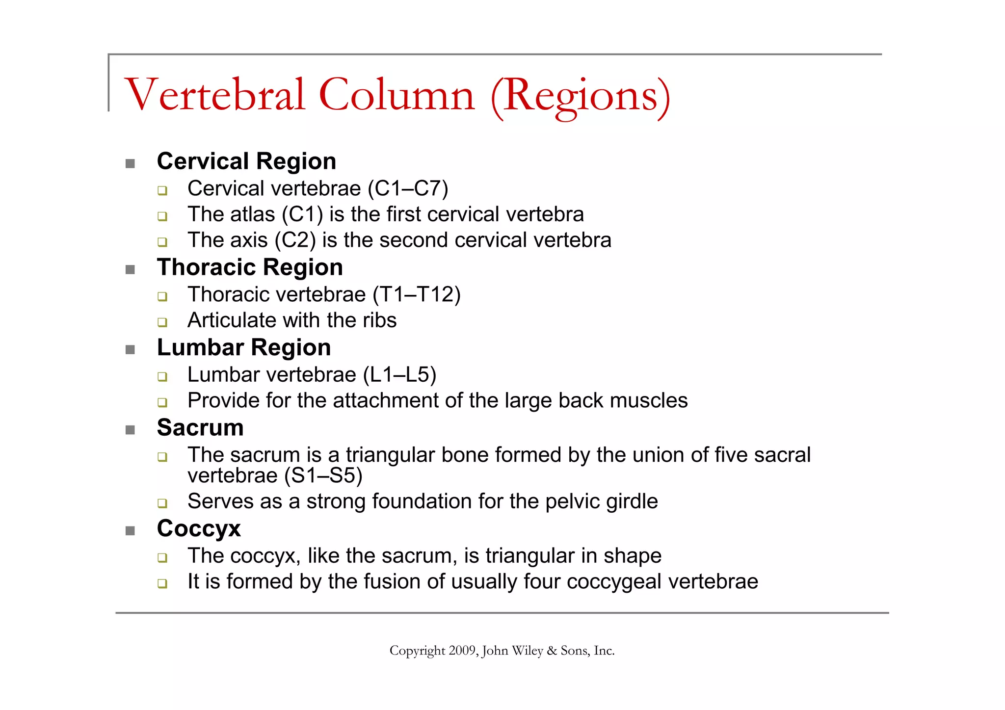 Vertebral Column (Regions)
Cervical Region
Cervical vertebrae (C1–C7)
The atlas (C1) is the first cervical vertebra
The axis (C2) is the second cervical vertebra
Thoracic Region
Thoracic vertebrae (T1–T12)
Articulate with the ribs
Lumbar Region
Copyright 2009, John Wiley & Sons, Inc.
Lumbar Region
Lumbar vertebrae (L1–L5)
Provide for the attachment of the large back muscles
Sacrum
The sacrum is a triangular bone formed by the union of five sacral
vertebrae (S1–S5)
Serves as a strong foundation for the pelvic girdle
Coccyx
The coccyx, like the sacrum, is triangular in shape
It is formed by the fusion of usually four coccygeal vertebrae
 