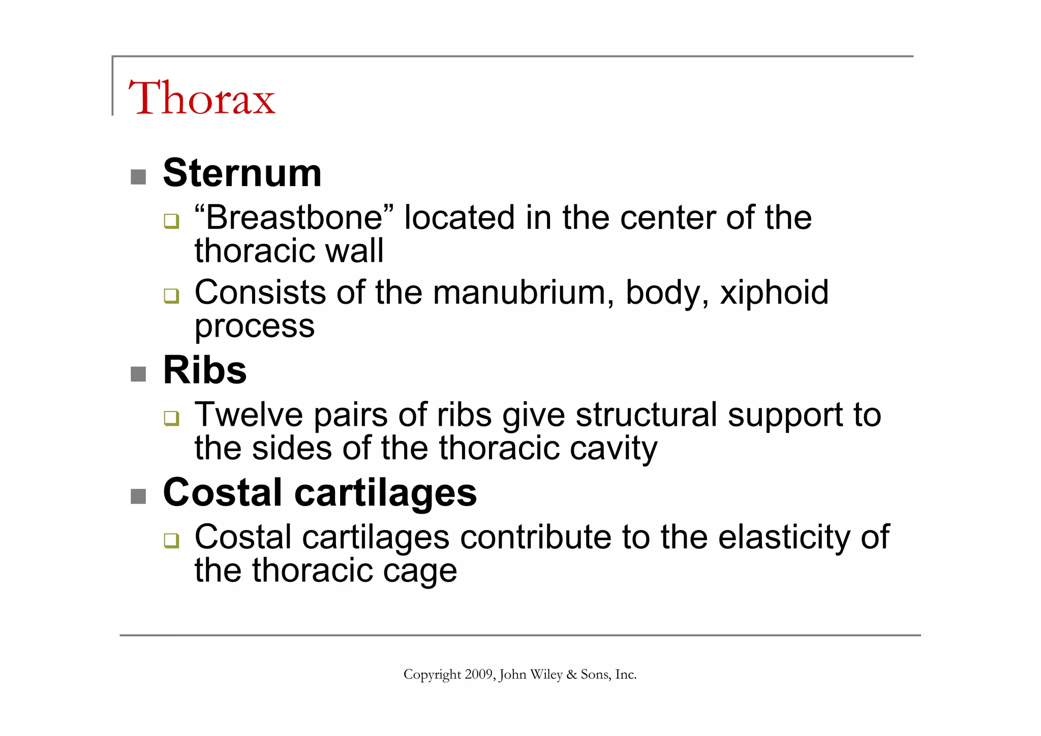 Thorax
Sternum
“Breastbone” located in the center of the
thoracic wall
Consists of the manubrium, body, xiphoid
process
Ribs
Copyright 2009, John Wiley & Sons, Inc.
Ribs
Twelve pairs of ribs give structural support to
the sides of the thoracic cavity
Costal cartilages
Costal cartilages contribute to the elasticity of
the thoracic cage
 