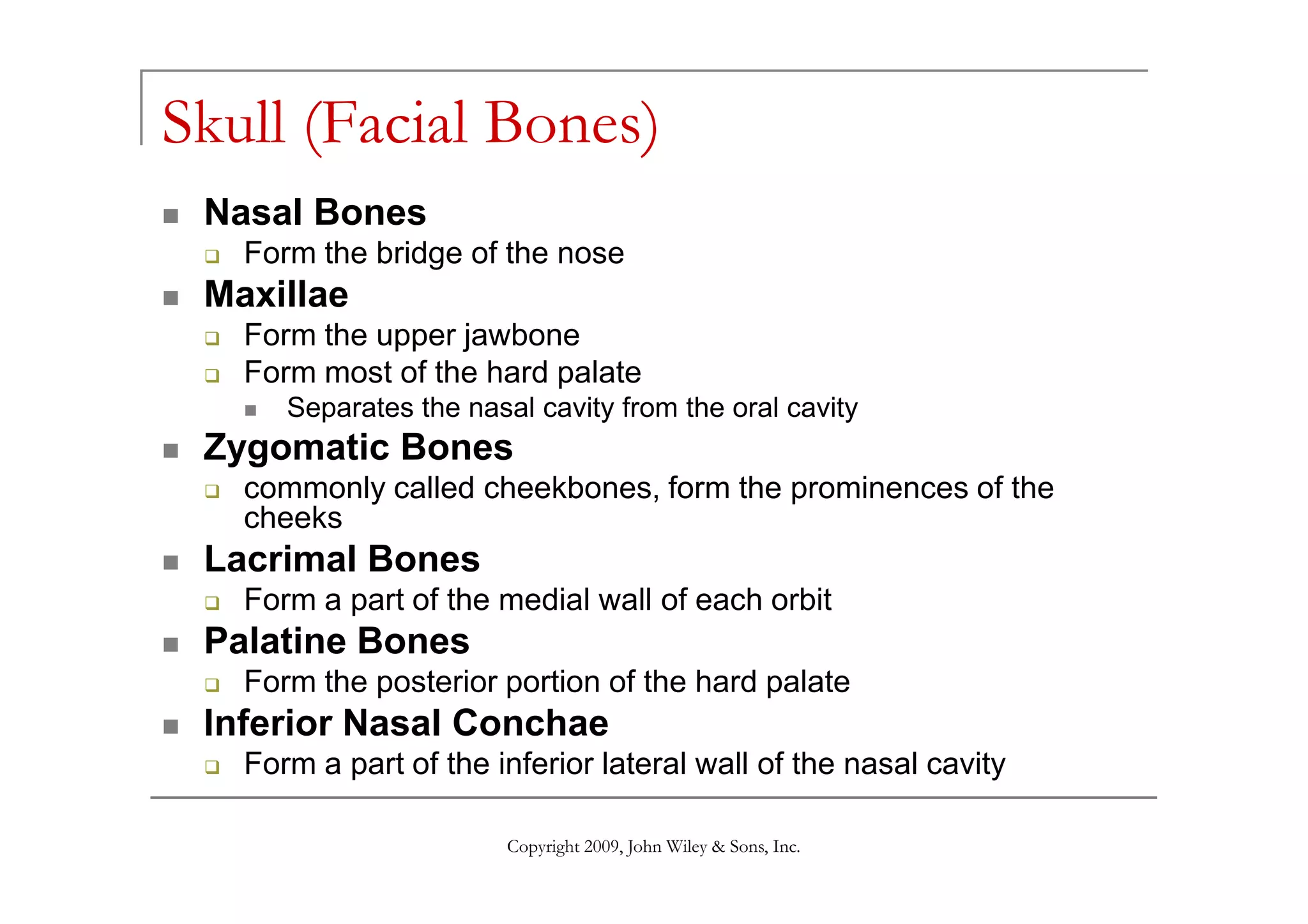 Skull (Facial Bones)
 Nasal Bones
   Form the bridge of the nose
 Maxillae
   Form the upper jawbone
   Form most of the hard palate
      Separates the nasal cavity from the oral cavity
 Zygomatic Bones
   commonly called cheekbones, form the prominences of the
   cheeks
 Lacrimal Bones
   Form a part of the medial wall of each orbit
 Palatine Bones
   Form the posterior portion of the hard palate
 Inferior Nasal Conchae
   Form a part of the inferior lateral wall of the nasal cavity

                        Copyright 2009, John Wiley & Sons, Inc.
 