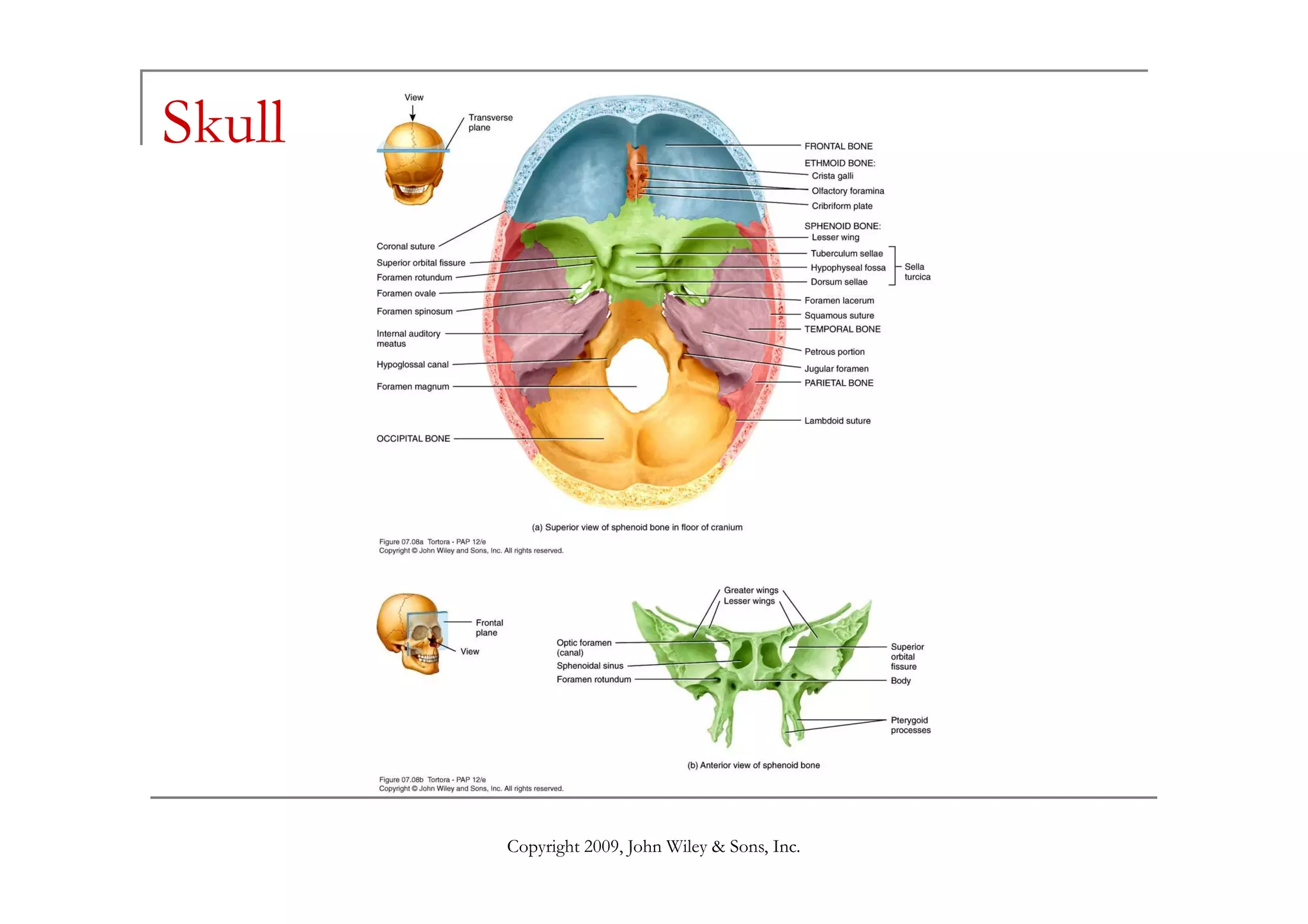 Skull




        Copyright 2009, John Wiley & Sons, Inc.
 