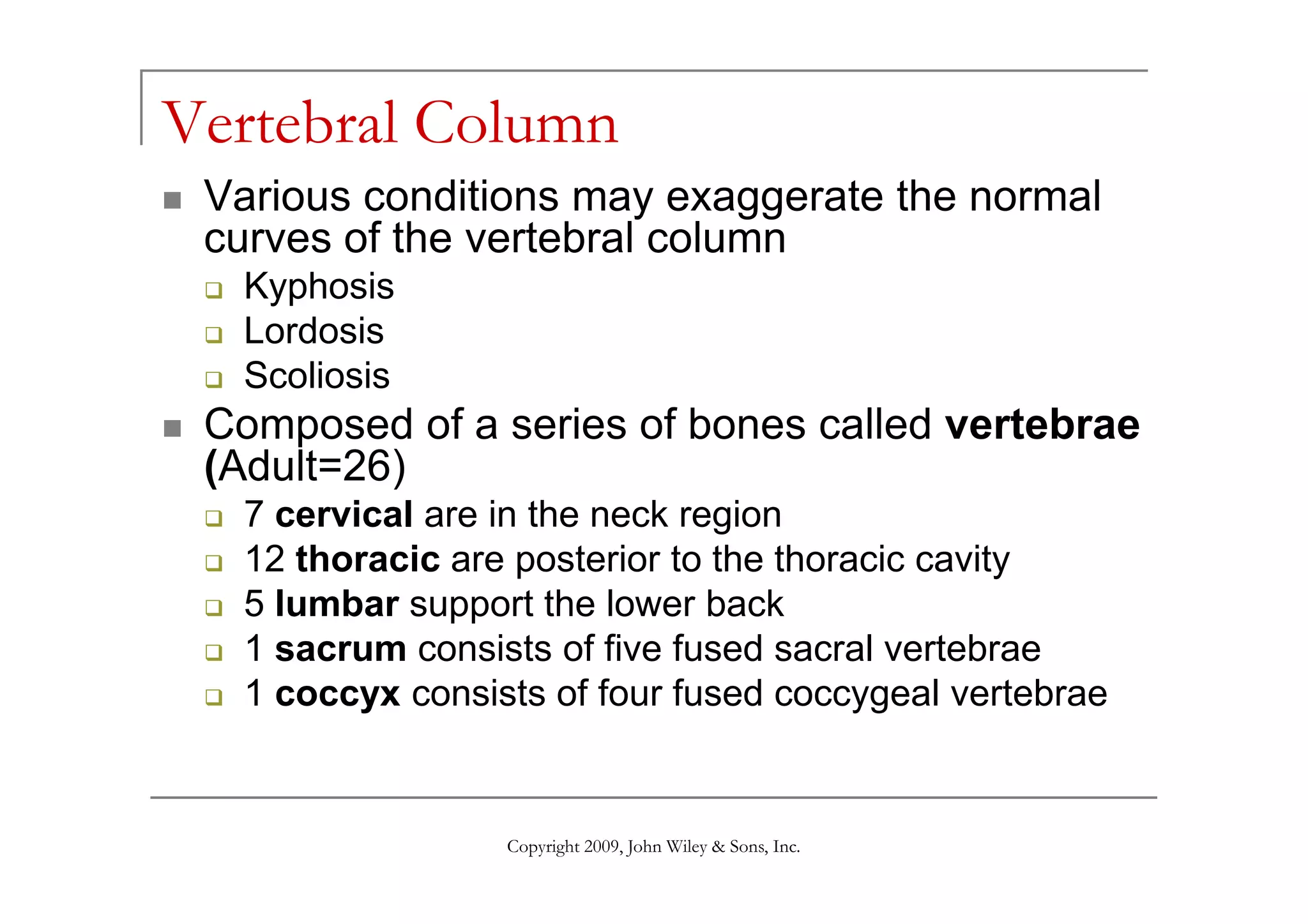 Vertebral Column
 Various conditions may exaggerate the normal
 curves of the vertebral column
  Kyphosis
  Lordosis
  Scoliosis
 Composed of a series of bones called vertebrae
 (Adult=26)
  7 cervical are in the neck region
  12 thoracic are posterior to the thoracic cavity
  5 lumbar support the lower back
  1 sacrum consists of five fused sacral vertebrae
  1 coccyx consists of four fused coccygeal vertebrae


                 Copyright 2009, John Wiley & Sons, Inc.
 