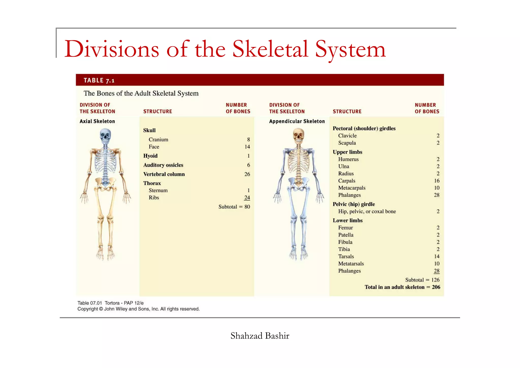 Divisions of the Skeletal System




                Shahzad Bashir
 