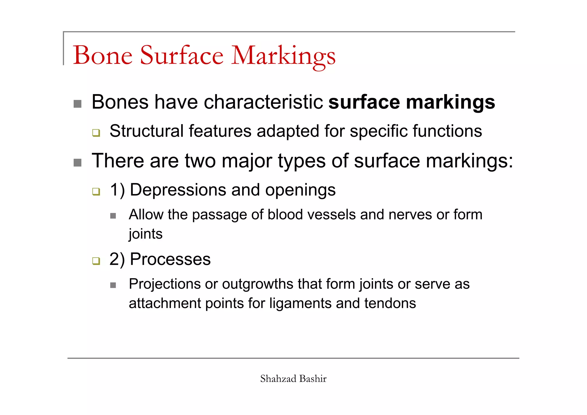 Bone Surface Markings
 Bones have characteristic surface markings
  Structural features adapted for specific functions
 There are two major types of surface markings:
  1) Depressions and openings
     Allow the passage of blood vessels and nerves or form
     joints
  2) Processes
     Projections or outgrowths that form joints or serve as
     attachment points for ligaments and tendons




                         Shahzad Bashir
 