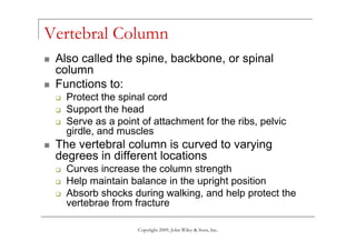 Spinal Column Point Introduction to skeletal system. | PDF