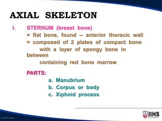 Introduction to Skeletal System anatomy | PPT