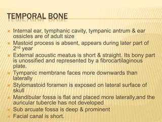 TEMPORAL BONE
 Internal ear, tymphanic cavity, tympanic antrum & ear
ossicles are of adult size
 Mastoid process is absent, appears during later part of
2nd year
 External acoustic meatus is short & straight. Its bony part
is unossified and represented by a fibrocartilaginous
plate.
 Tympanic membrane faces more downwards than
laterally
 Stylomastoid foramen is exposed on lateral surface of
skull
 Mandibular fossa is flat and placed more laterally,and the
auricular tubercle has not developed
 Sub arcuate fossa is deep & prominent
 Facial canal is short.
 