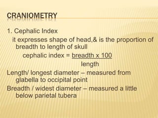 CRANIOMETRY
1. Cephalic Index
it expresses shape of head,& is the proportion of
breadth to length of skull
cephalic index = breadth x 100
length
Length/ longest diameter – measured from
glabella to occipital point
Breadth / widest diameter – measured a little
below parietal tubera
 