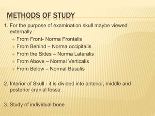 METHODS OF STUDY
1. For the purpose of examination skull maybe viewed
externally :
 From Front- Norma Frontalis
 From Behind – Norma occipitalis
 From the Sides – Norma Lateralis
 From Above – Normal Verticalis
 From Below – Normal Basalis
2. Interior of Skull - it is divided into anterior, middle and
posterior cranial fossa.
3. Study of individual bone.
 