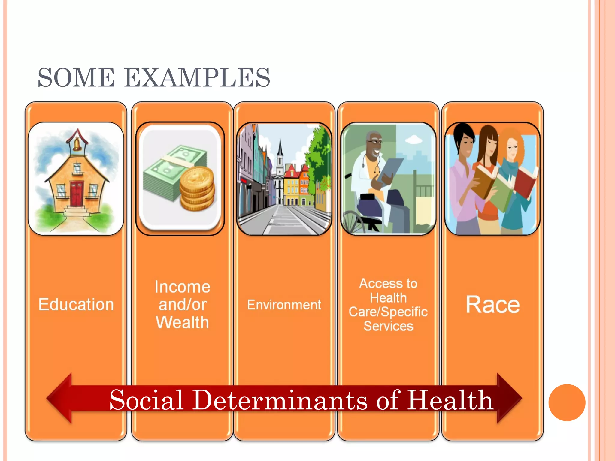 SOME EXAMPLES Social Determinants of Health 
