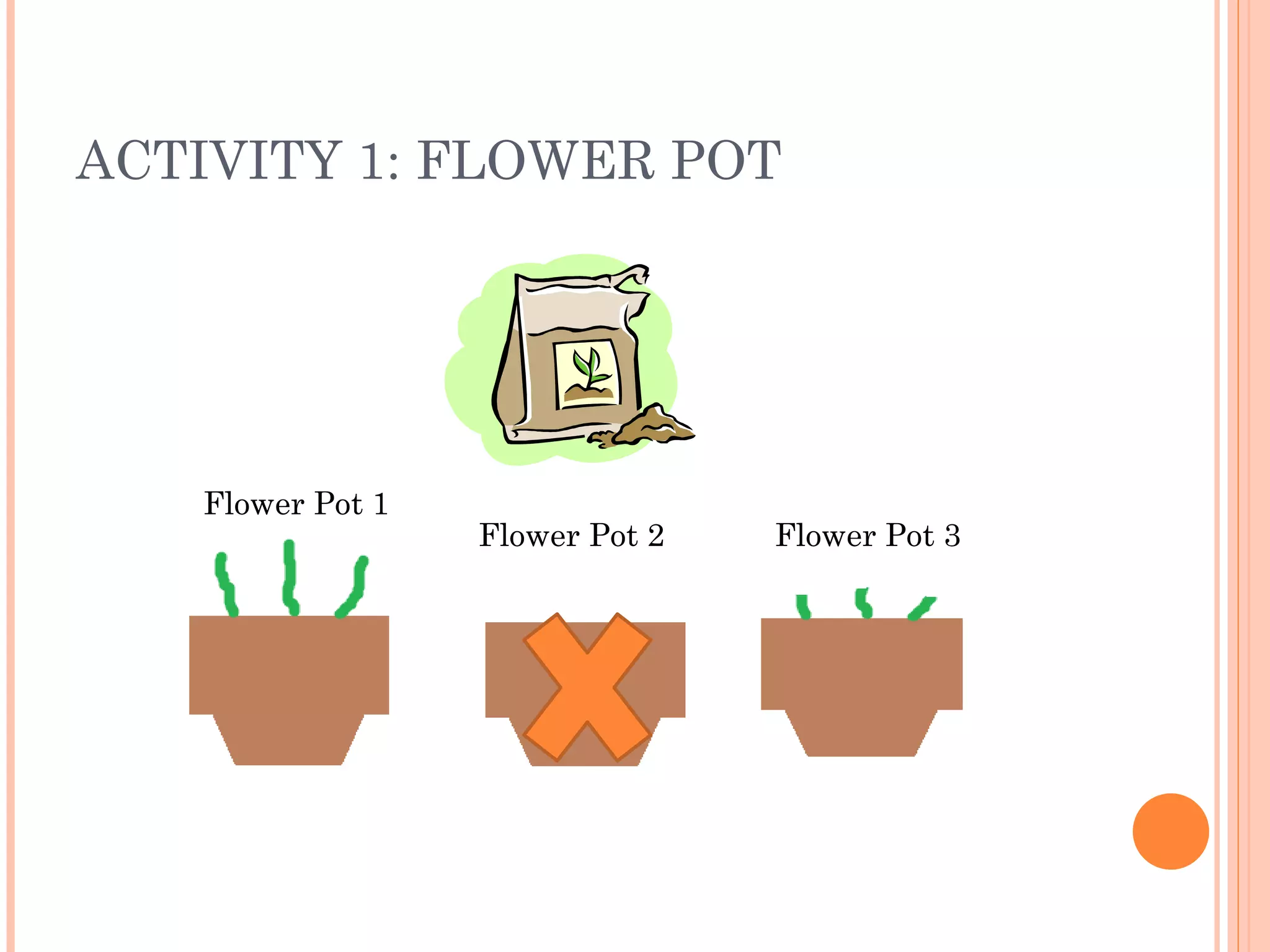 ACTIVITY 1: FLOWER POT Flower Pot 1 Flower Pot 2 Flower Pot 3 