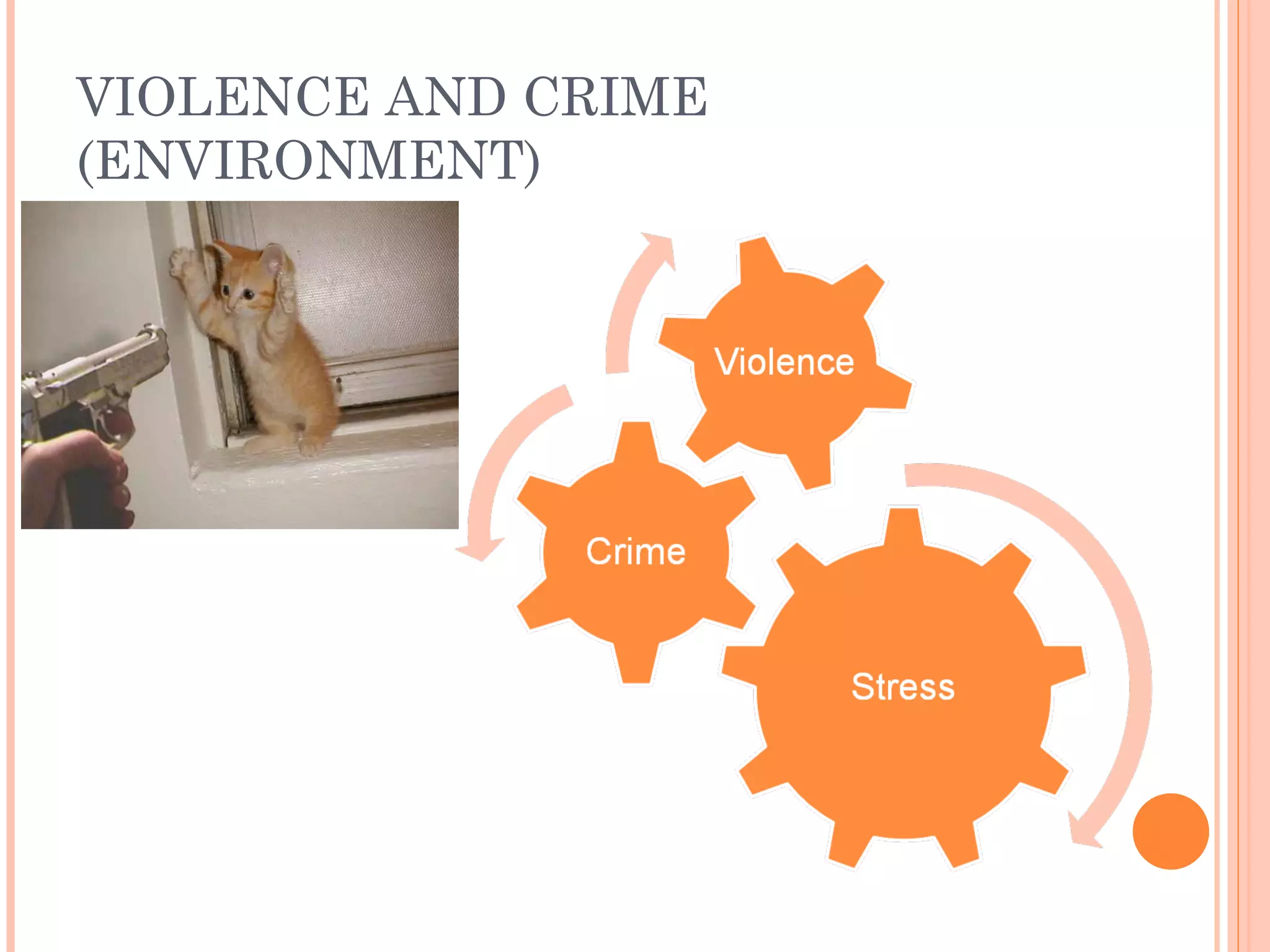 VIOLENCE AND CRIME (ENVIRONMENT) 