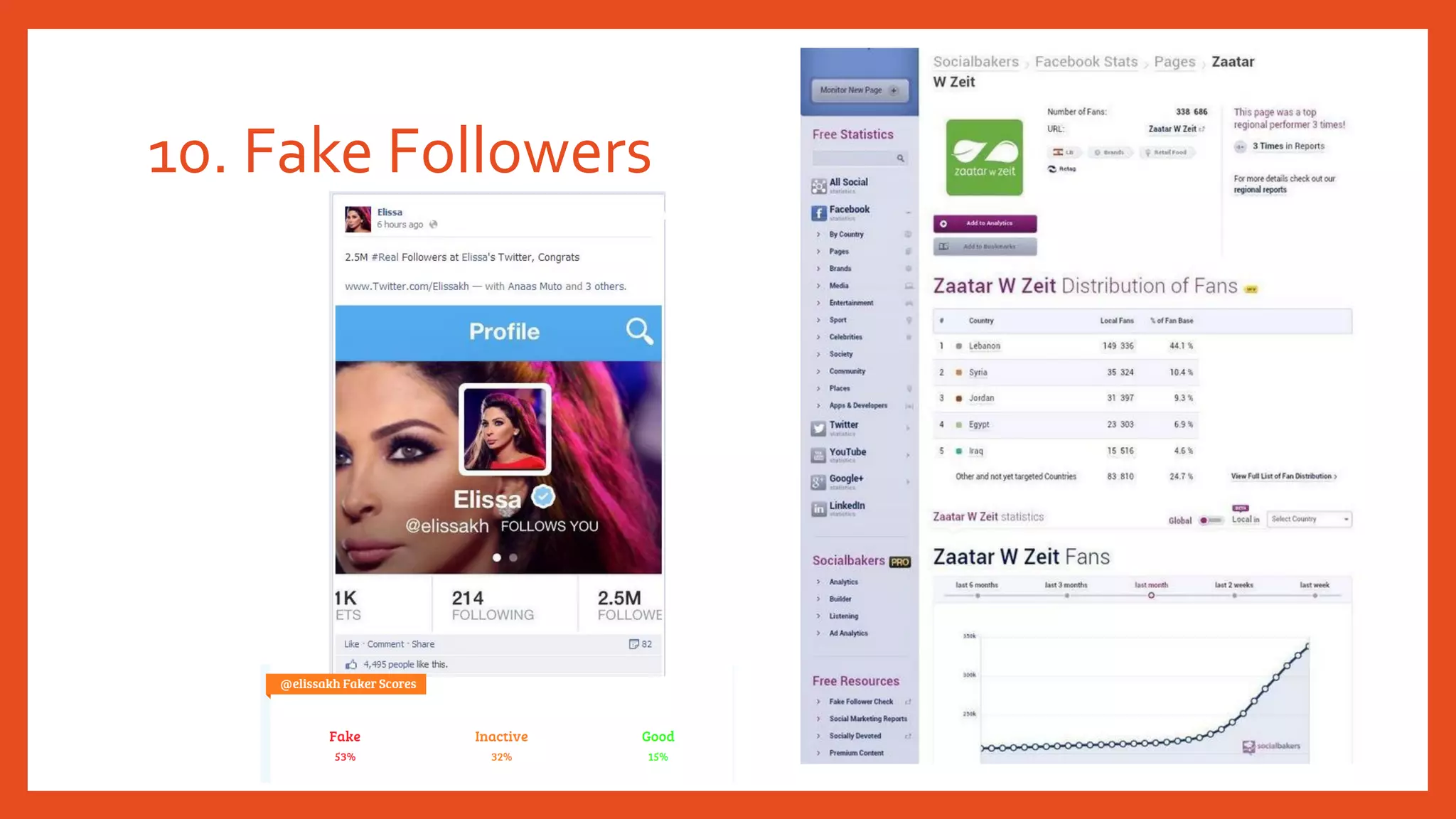 10. Fake Followers
 