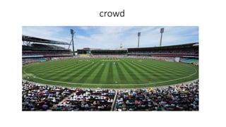 crowd
 