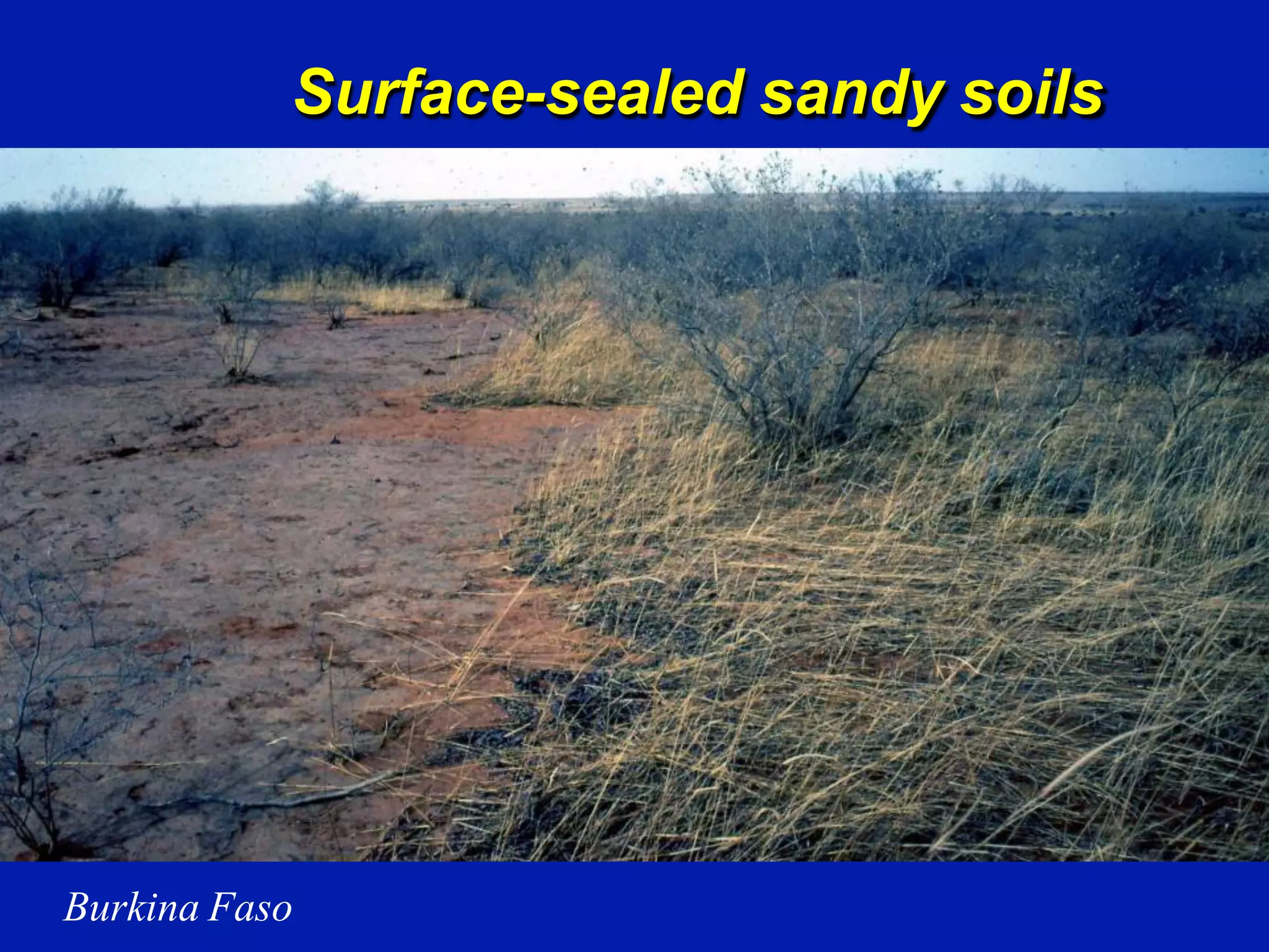 Surface-sealed sandy soils
Burkina Faso