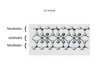 Tetrahedra
octahedra
{
{
Tetrahedra {
2:1 mineral
 