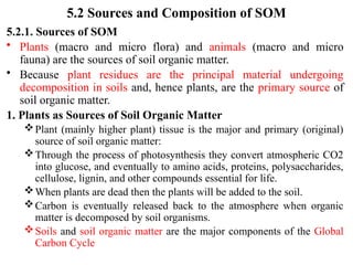 5.2 Sources and Composition of SOM
5.2.1. Sources of SOM
• Plants (macro and micro flora) and animals (macro and micro
fauna) are the sources of soil organic matter.
• Because plant residues are the principal material undergoing
decomposition in soils and, hence plants, are the primary source of
soil organic matter.
1. Plants as Sources of Soil Organic Matter
Plant (mainly higher plant) tissue is the major and primary (original)
source of soil organic matter:
Through the process of photosynthesis they convert atmospheric CO2
into glucose, and eventually to amino acids, proteins, polysaccharides,
cellulose, lignin, and other compounds essential for life.
When plants are dead then the plants will be added to the soil.
Carbon is eventually released back to the atmosphere when organic
matter is decomposed by soil organisms.
Soils and soil organic matter are the major components of the Global
Carbon Cycle
 
