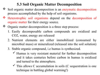 5.3 Soil Organic Matter Decomposition
 Soil organic matter decomposition is an enzymatic decomposition
process accomplished by the help of soil organisms.
 Heterotrophic soil organisms depend on the decomposition of
organic matter for their energy source.
 Organic matter decomposition is a three step process:
1. Easily decomposable carbon compounds are oxidized and
CO2, water, energy are released
2. Nutrient elements are either immobilized (consumed by
microbial mass) or mineralized (released into the soil solution)
3. Stable organic compound, i.e humus is synthesized.
 Humus is very resistant material for further decomposition
and it takes centuries before carbon in humus is oxidized
and turned to the atmosphere.
 This allows C accumulation in soils (C sequestration is one
technique in battling global warming!)
 
