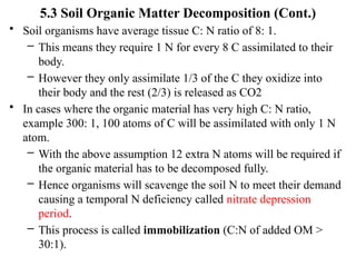 5.3 Soil Organic Matter Decomposition (Cont.)
• Soil organisms have average tissue C: N ratio of 8: 1.
– This means they require 1 N for every 8 C assimilated to their
body.
– However they only assimilate 1/3 of the C they oxidize into
their body and the rest (2/3) is released as CO2
• In cases where the organic material has very high C: N ratio,
example 300: 1, 100 atoms of C will be assimilated with only 1 N
atom.
– With the above assumption 12 extra N atoms will be required if
the organic material has to be decomposed fully.
– Hence organisms will scavenge the soil N to meet their demand
causing a temporal N deficiency called nitrate depression
period.
– This process is called immobilization (C:N of added OM >
30:1).
 