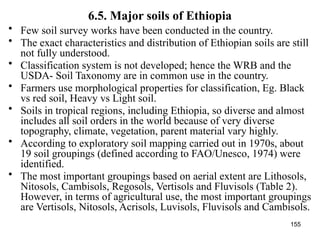 155
6.5. Major soils of Ethiopia
• Few soil survey works have been conducted in the country.
• The exact characteristics and distribution of Ethiopian soils are still
not fully understood.
• Classification system is not developed; hence the WRB and the
USDA- Soil Taxonomy are in common use in the country.
• Farmers use morphological properties for classification, Eg. Black
vs red soil, Heavy vs Light soil.
• Soils in tropical regions, including Ethiopia, so diverse and almost
includes all soil orders in the world because of very diverse
topography, climate, vegetation, parent material vary highly.
• According to exploratory soil mapping carried out in 1970s, about
19 soil groupings (defined according to FAO/Unesco, 1974) were
identified.
• The most important groupings based on aerial extent are Lithosols,
Nitosols, Cambisols, Regosols, Vertisols and Fluvisols (Table 2).
However, in terms of agricultural use, the most important groupings
are Vertisols, Nitosols, Acrisols, Luvisols, Fluvisols and Cambisols.
 