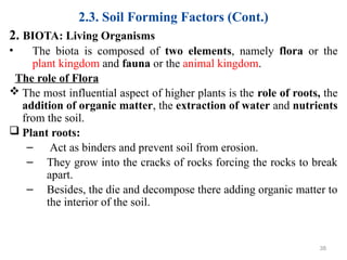 2.3. Soil Forming Factors (Cont.)
2. BIOTA: Living Organisms
• The biota is composed of two elements, namely flora or the
plant kingdom and fauna or the animal kingdom.
The role of Flora
 The most influential aspect of higher plants is the role of roots, the
addition of organic matter, the extraction of water and nutrients
from the soil.
 Plant roots:
– Act as binders and prevent soil from erosion.
– They grow into the cracks of rocks forcing the rocks to break
apart.
– Besides, the die and decompose there adding organic matter to
the interior of the soil.
38
 
