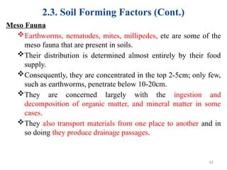 2.3. Soil Forming Factors (Cont.)
Meso Fauna
Earthworms, nematodes, mites, millipedes, etc are some of the
meso fauna that are present in soils.
Their distribution is determined almost entirely by their food
supply.
Consequently, they are concentrated in the top 2-5cm; only few,
such as earthworms, penetrate below 10-20cm.
They are concerned largely with the ingestion and
decomposition of organic matter, and mineral matter in some
cases.
They also transport materials from one place to another and in
so doing they produce drainage passages.
42
 