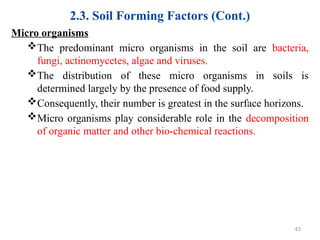 2.3. Soil Forming Factors (Cont.)
Micro organisms
The predominant micro organisms in the soil are bacteria,
fungi, actinomycetes, algae and viruses.
The distribution of these micro organisms in soils is
determined largely by the presence of food supply.
Consequently, their number is greatest in the surface horizons.
Micro organisms play considerable role in the decomposition
of organic matter and other bio-chemical reactions.
43
 