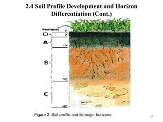 54
2.4 Soil Profile Development and Horizon
Differentiation (Cont.)
Figure 2: Soil profile and its major horizons
 