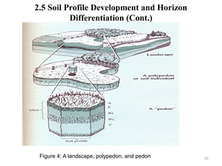 57
2.5 Soil Profile Development and Horizon
Differentiation (Cont.)
Figure 4: A landscape, polypedon, and pedon
 