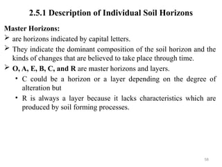 58
2.5.1 Description of Individual Soil Horizons
Master Horizons:
 are horizons indicated by capital letters.
 They indicate the dominant composition of the soil horizon and the
kinds of changes that are believed to take place through time.
 O, A, E, B, C, and R are master horizons and layers.
• C could be a horizon or a layer depending on the degree of
alteration but
• R is always a layer because it lacks characteristics which are
produced by soil forming processes.
 