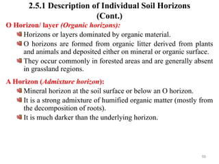 59
2.5.1 Description of Individual Soil Horizons
(Cont.)
O Horizon/ layer (Organic horizons):
Horizons or layers dominated by organic material.
O horizons are formed from organic litter derived from plants
and animals and deposited either on mineral or organic surface.
They occur commonly in forested areas and are generally absent
in grassland regions.
A Horizon (Admixture horizon):
Mineral horizon at the soil surface or below an O horizon.
It is a strong admixture of humified organic matter (mostly from
the decomposition of roots).
It is much darker than the underlying horizon.
 