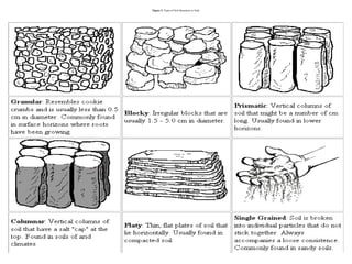 Figure 3: Types of Soil Structures in Soils
 