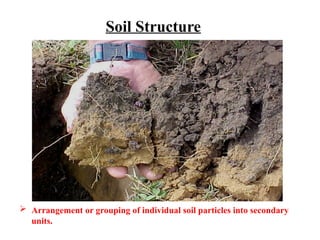Soil Structure
 Arrangement or grouping of individual soil particles into secondary
units.
 