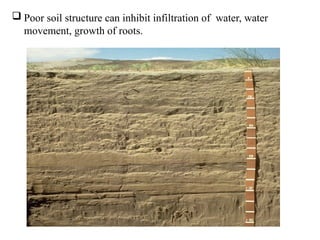  Poor soil structure can inhibit infiltration of water, water
movement, growth of roots.
 