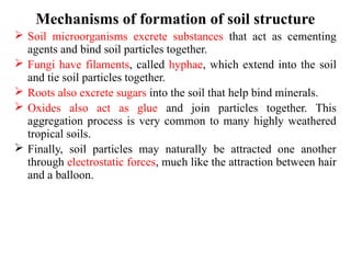 Mechanisms of formation of soil structure
 Soil microorganisms excrete substances that act as cementing
agents and bind soil particles together.
 Fungi have filaments, called hyphae, which extend into the soil
and tie soil particles together.
 Roots also excrete sugars into the soil that help bind minerals.
 Oxides also act as glue and join particles together. This
aggregation process is very common to many highly weathered
tropical soils.
 Finally, soil particles may naturally be attracted one another
through electrostatic forces, much like the attraction between hair
and a balloon.
 