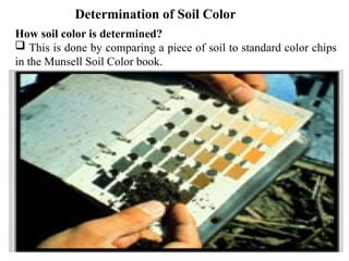 84
Determination of Soil Color
How soil color is determined?
 This is done by comparing a piece of soil to standard color chips
in the Munsell Soil Color book.
 