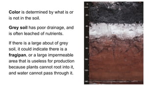 Introduction to Soil Science (Intended for High School) | PPTX