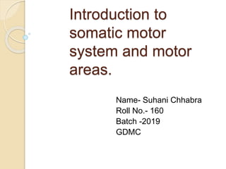 Introduction to
somatic motor
system and motor
areas.
Name- Suhani Chhabra
Roll No.- 160
Batch -2019
GDMC
 