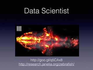 Data Scientist 
http://goo.gl/q5CAx8 
http://research.janelia.org/zebrafish/ 
 