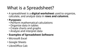 Introduction to Spreadsheet and Microsoft Excel.pptx