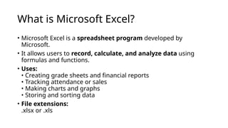 Introduction to Spreadsheet and Microsoft Excel.pptx