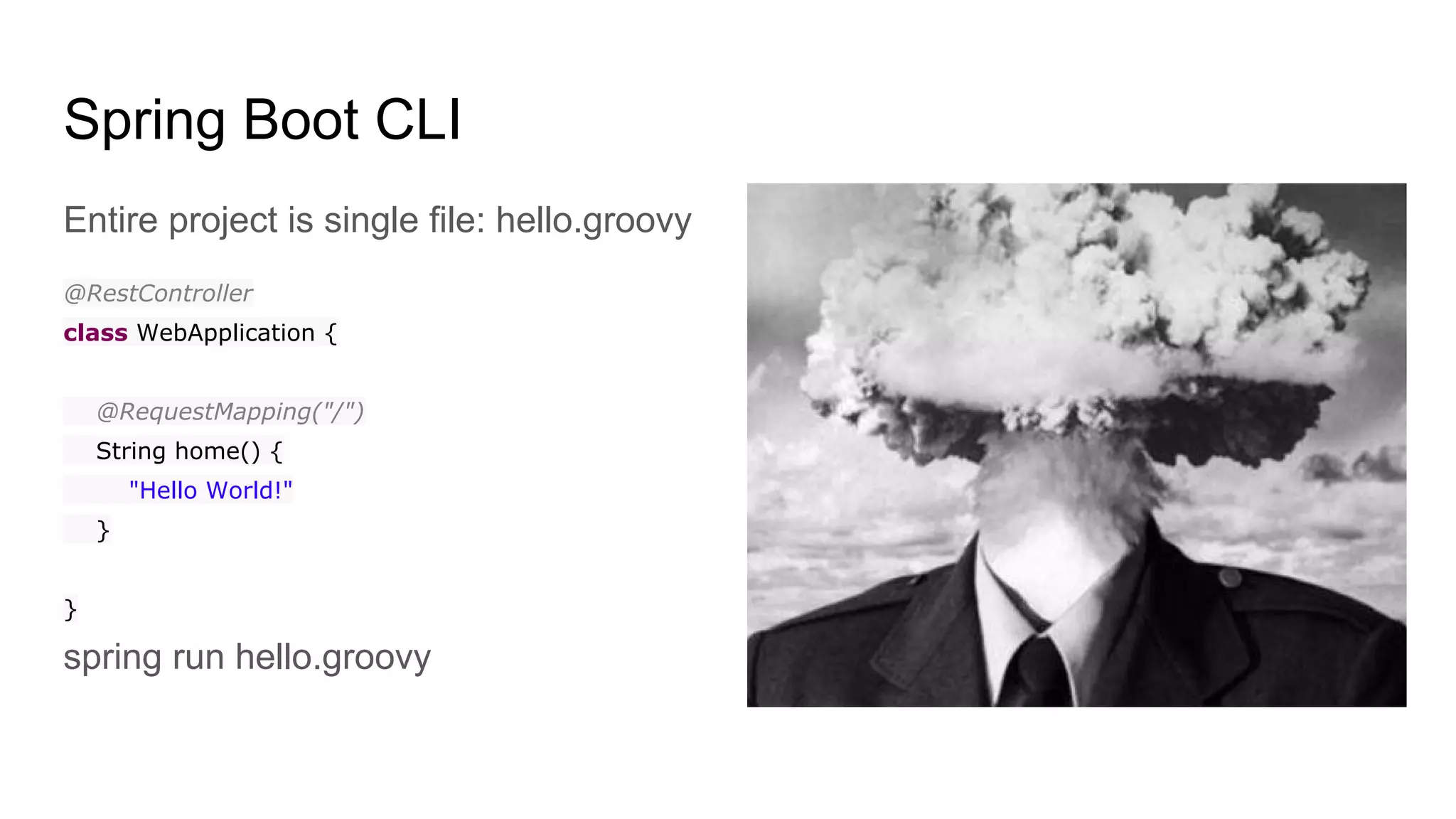 Spring Boot CLI
Entire project is single file: hello.groovy
@RestController
class WebApplication {
@RequestMapping("/")
String home() {
"Hello World!"
}
}
spring run hello.groovy
 