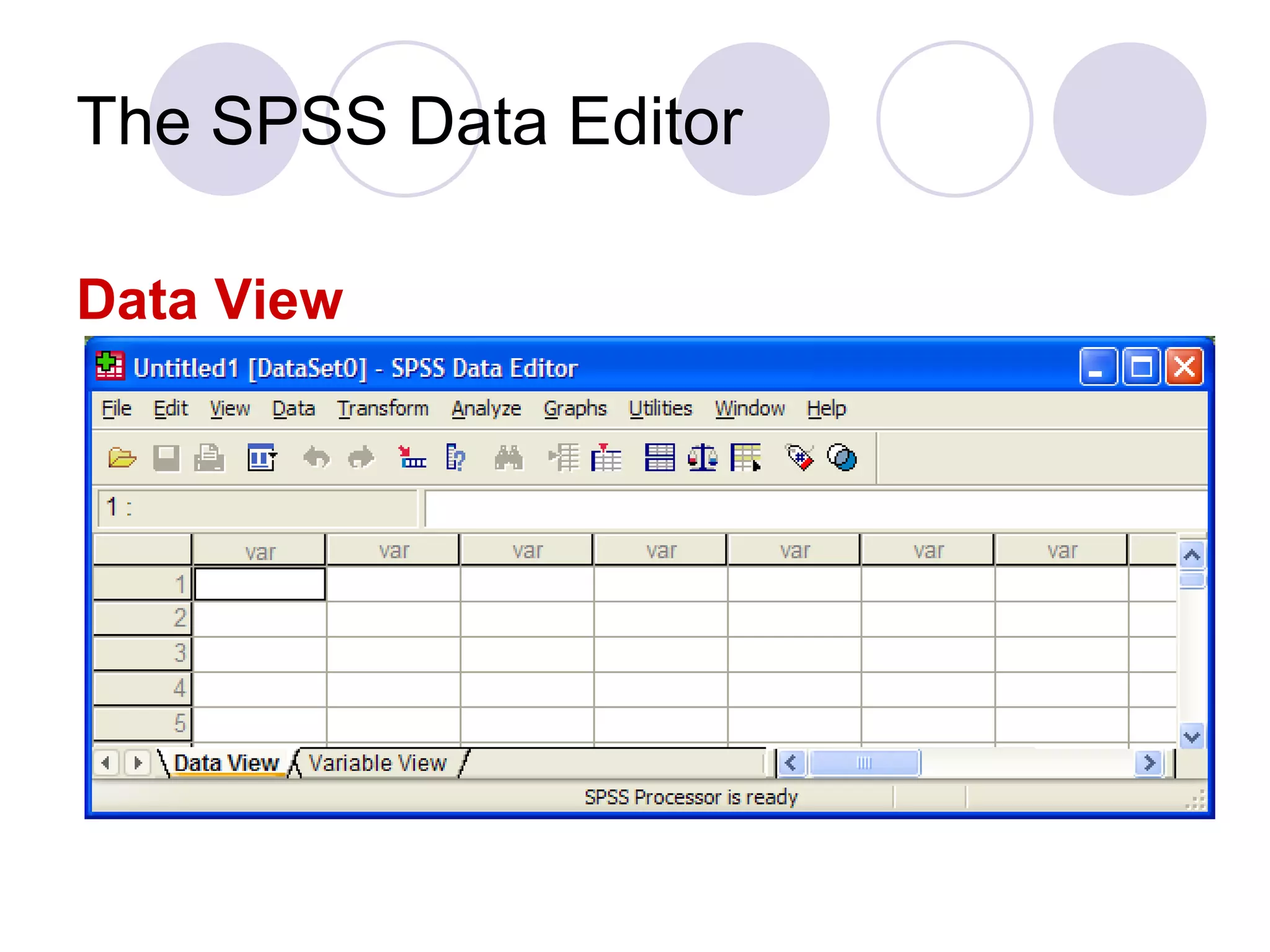 The SPSS Data Editor Data View 