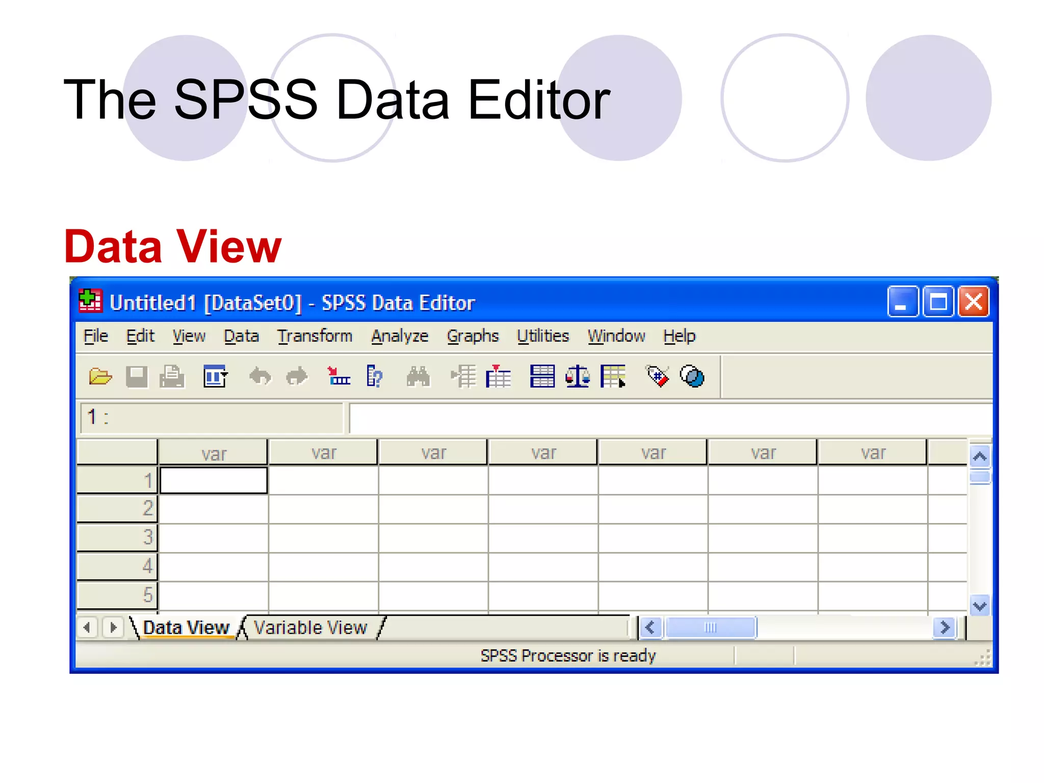 The SPSS Data Editor
Data View
 