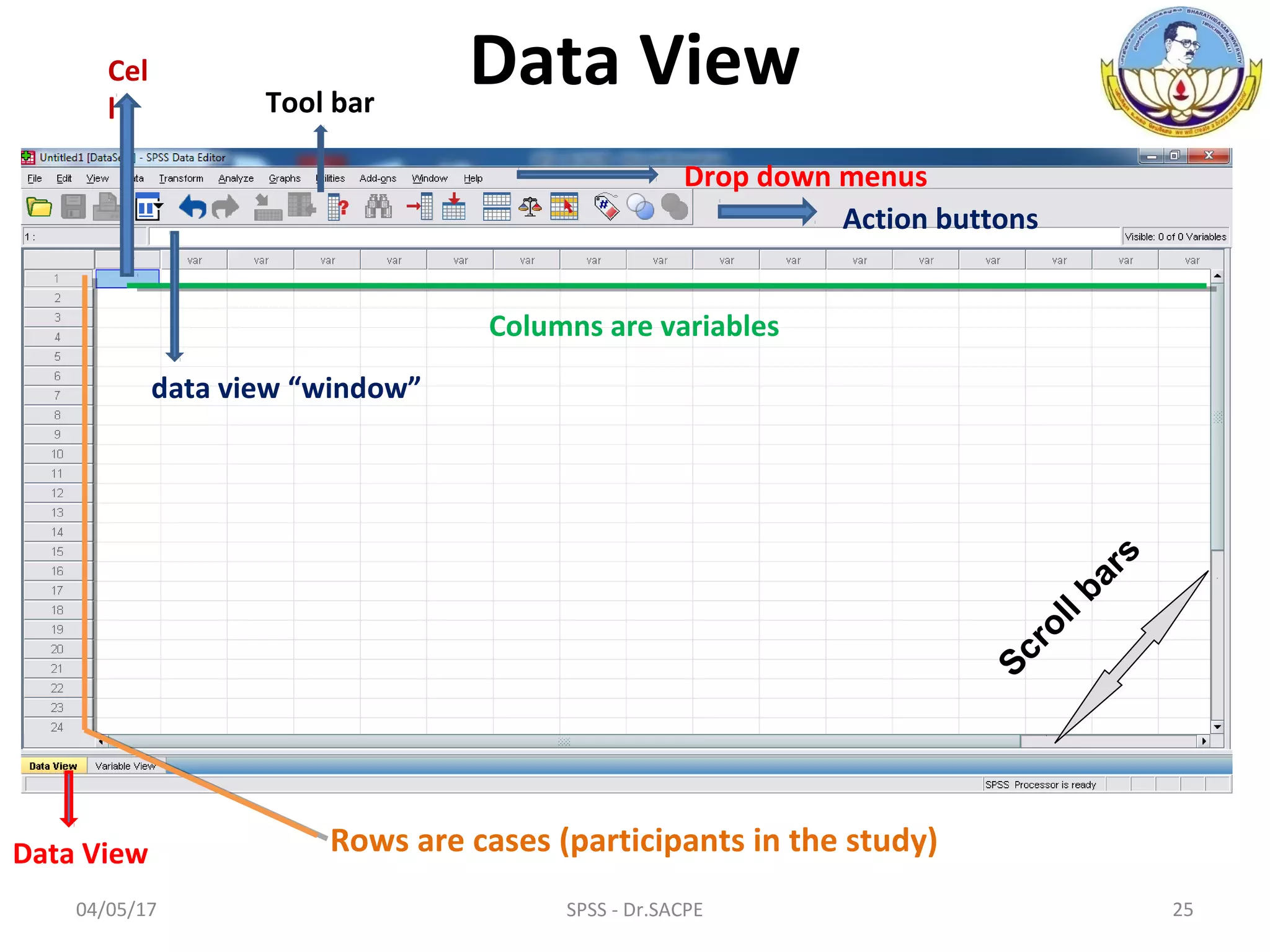 04/05/17 25SPSS - Dr.SACPE
Data View
Data View Rows are cases (participants in the study)
Columns are variables
Drop down menus
Action buttons
Cel
l
data view “window”
Scroll bars
Tool bar
 