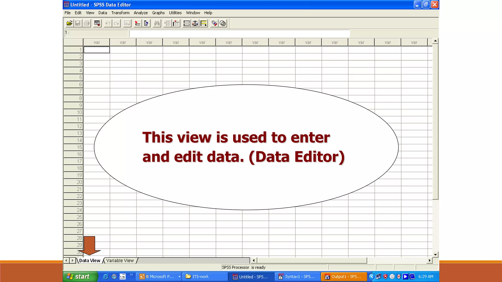 This view is used to enter
and edit data. (Data Editor)
 