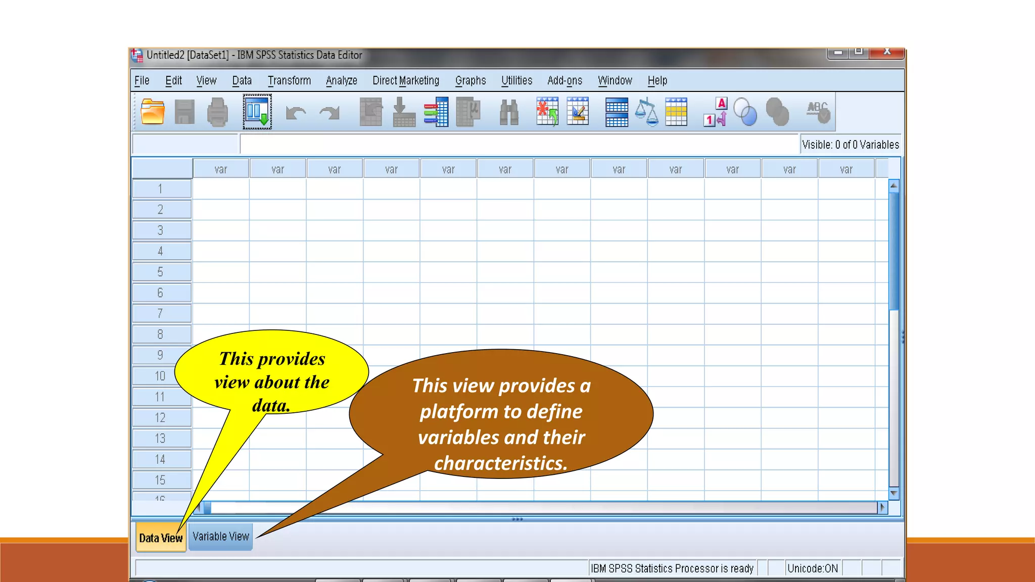 This provides
view about the
data.
This view provides a
platform to define
variables and their
characteristics.
 