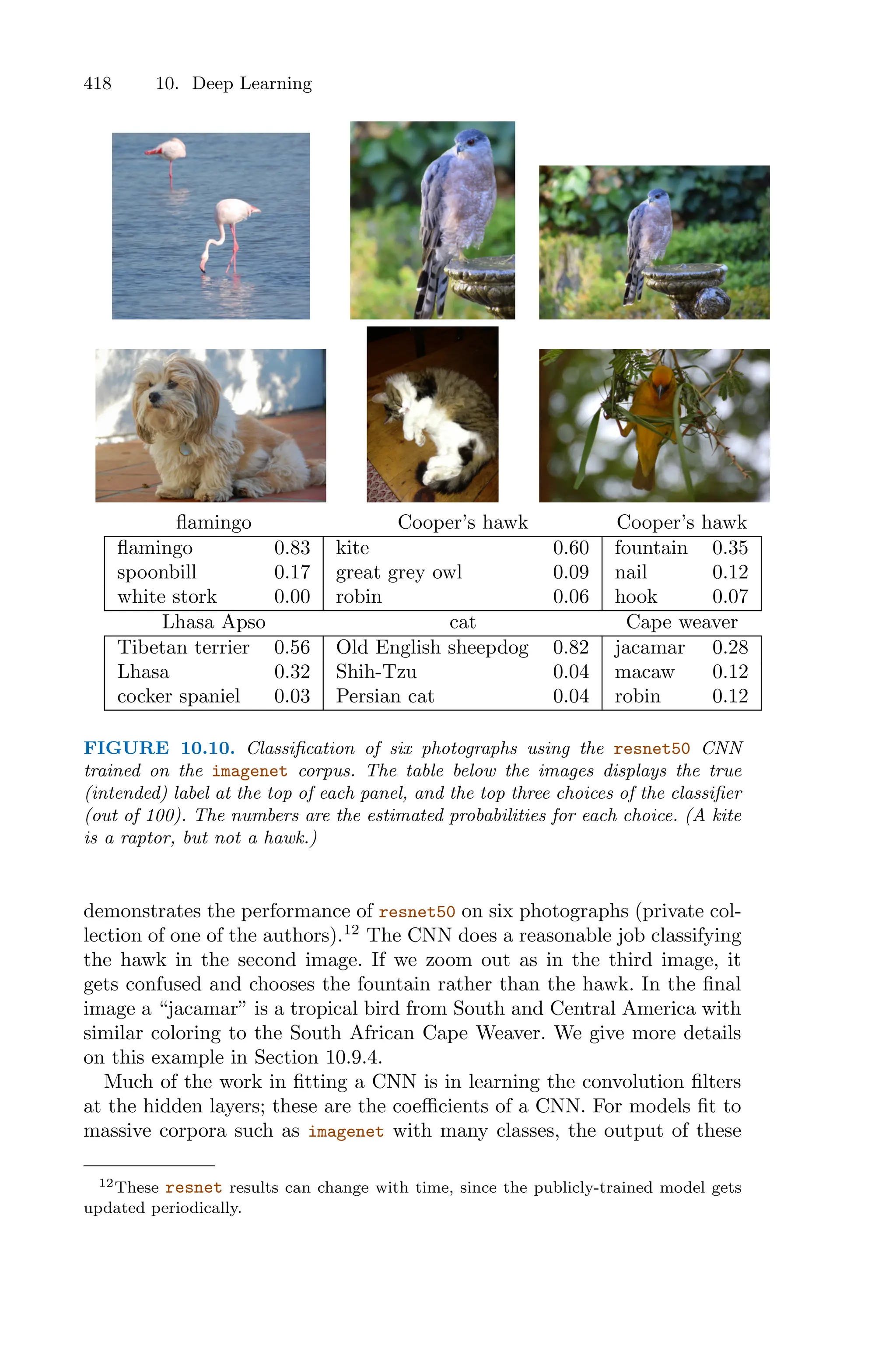 418 10. Deep Learning
flamingo Cooper’s hawk Cooper’s hawk
flamingo 0.83 kite 0.60 fountain 0.35
spoonbill 0.17 great grey owl 0.09 nail 0.12
white stork 0.00 robin 0.06 hook 0.07
Lhasa Apso cat Cape weaver
Tibetan terrier 0.56 Old English sheepdog 0.82 jacamar 0.28
Lhasa 0.32 Shih-Tzu 0.04 macaw 0.12
cocker spaniel 0.03 Persian cat 0.04 robin 0.12
FIGURE 10.10. Classification of six photographs using the resnet50 CNN
trained on the imagenet corpus. The table below the images displays the true
(intended) label at the top of each panel, and the top three choices of the classifier
(out of 100). The numbers are the estimated probabilities for each choice. (A kite
is a raptor, but not a hawk.)
demonstrates the performance of resnet50 on six photographs (private col-
lection of one of the authors).12
The CNN does a reasonable job classifying
the hawk in the second image. If we zoom out as in the third image, it
gets confused and chooses the fountain rather than the hawk. In the final
image a “jacamar” is a tropical bird from South and Central America with
similar coloring to the South African Cape Weaver. We give more details
on this example in Section 10.9.4.
Much of the work in fitting a CNN is in learning the convolution filters
at the hidden layers; these are the coeﬃcients of a CNN. For models fit to
massive corpora such as imagenet with many classes, the output of these
12These resnet results can change with time, since the publicly-trained model gets
updated periodically.
 