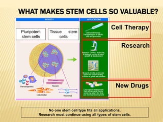 WHAT MAKES STEM CELLS SO VALUABLE?
Cell Therapy
Research
New Drugs
Pluripotent
stem cells
Tissue stem
cells
No one stem cell type fits all applications.
Research must continue using all types of stem cells.
 